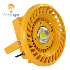 Đèn Led Nhà Xưởng Chống Cháy Nổ 100w X10-100 - ảnh 1
