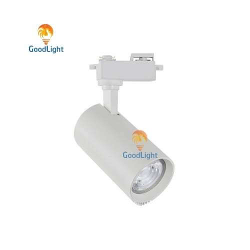 Đèn led Rọi Ray COB 20W R08-20