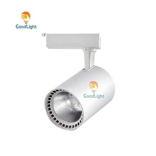Đèn led Rọi Ray COB 30W R03-30
