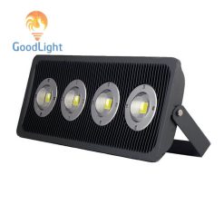 Đèn Pha LED P12 - ảnh 27