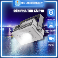 Đèn Pha Led Prolux 100W P18-100 - ảnh 10