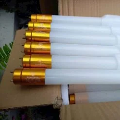 Đèn Tuýp LED Thủy Tinh T01 - ảnh 10