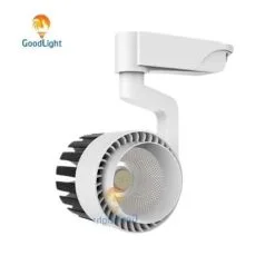 Đèn Led Rọi Ray Cob 20W R06-20