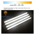Đèn Tuýp Led Liền Máng 24W T05 11 Đèn Tuýp Led Liền Máng 24W T05-01