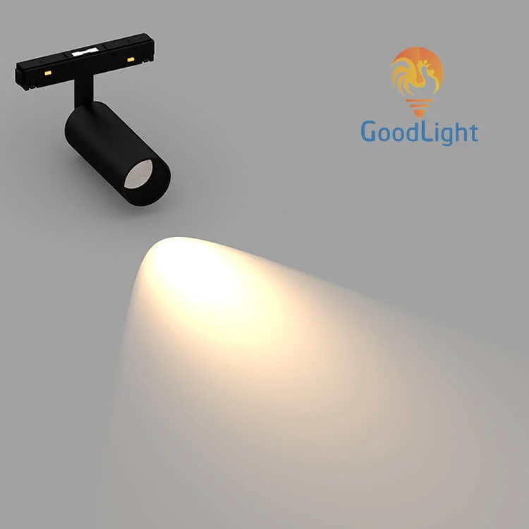 Màu Sắc Ánh Sáng Của Đèn Led Rọi Ray Nam Châm 7W Rn01