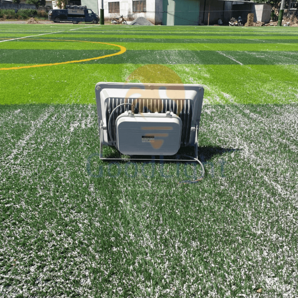 Feedback-Den-San-Bong