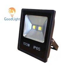 Đèn Pha Led 100W P04-100-01