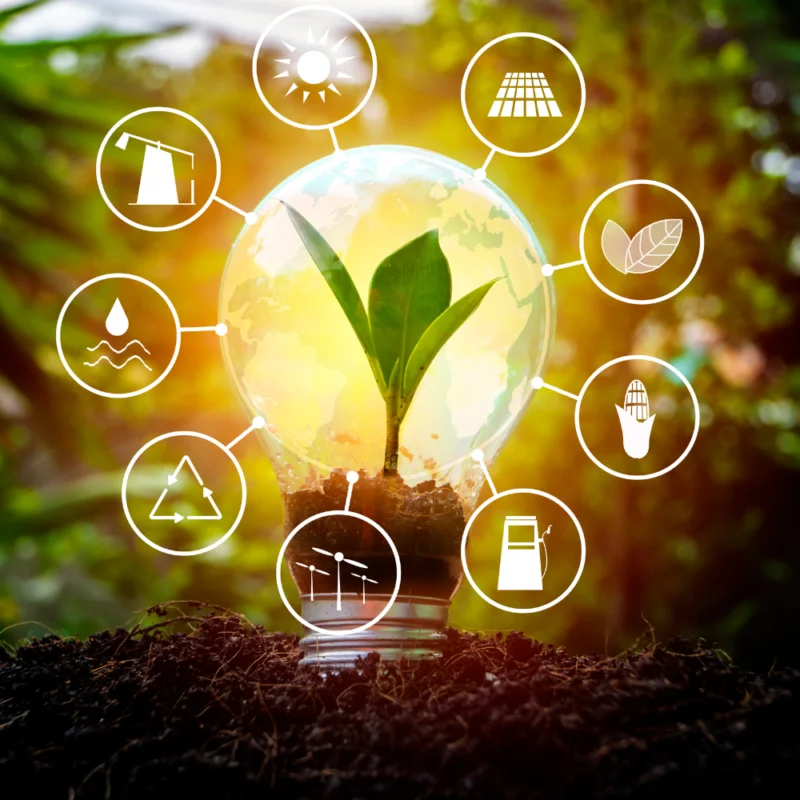 Den Lon Spotlight Gan Noi Tiet Kiem Nang Luong 5