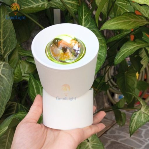 Đèn Led Rọi Hoàng Hôn Gắn Trần 12W - Ảnh 15