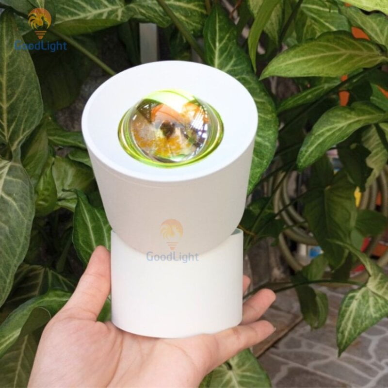 Den LED roi hoang hon 12W 8