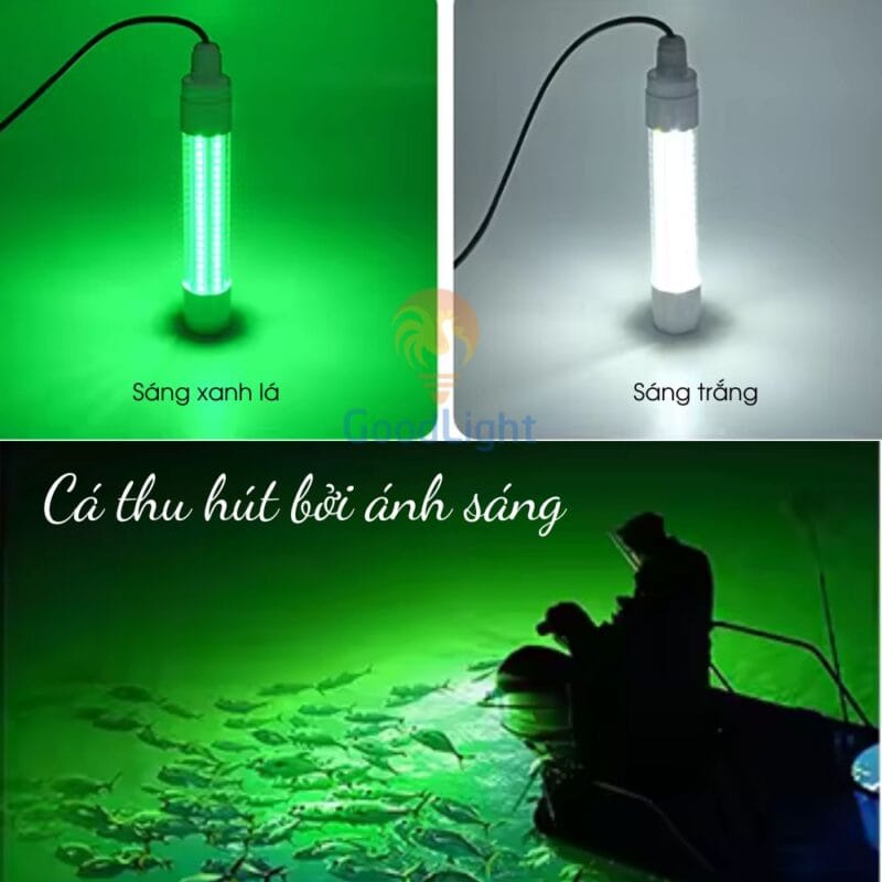 Đèn LED thu hút cá 200W thả chìm DC08 52 Den Led Thu Hut Ca 1