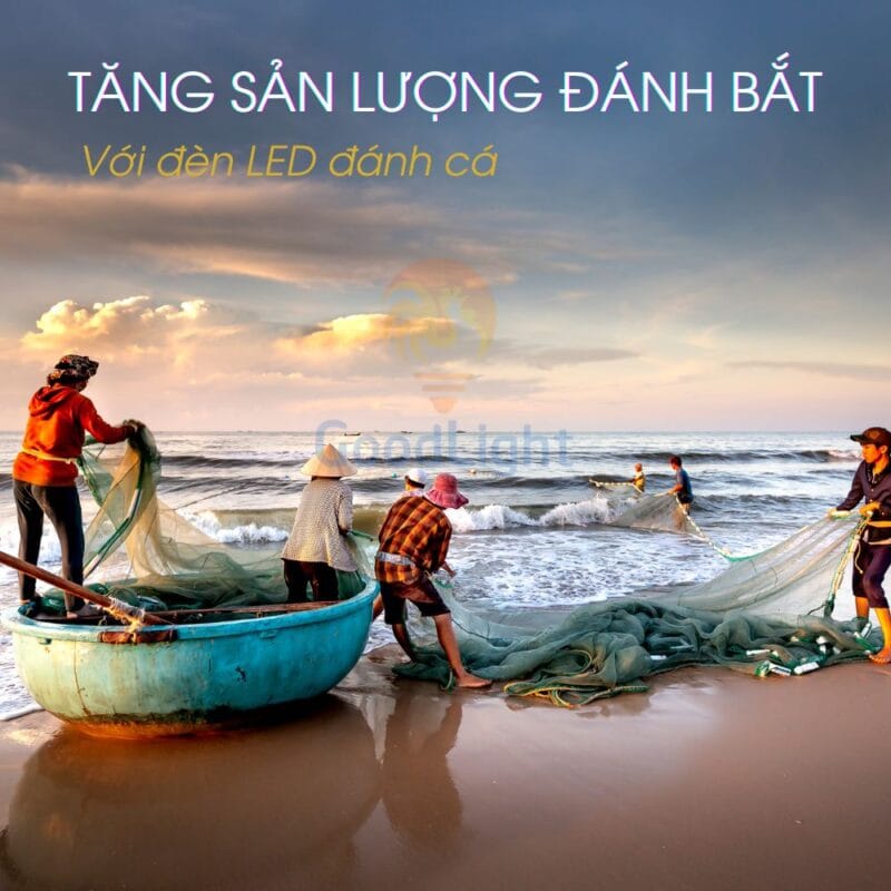 Đèn LED đánh cá