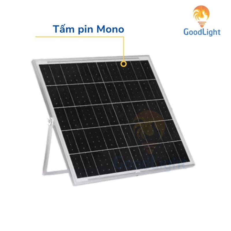 tam pin mono