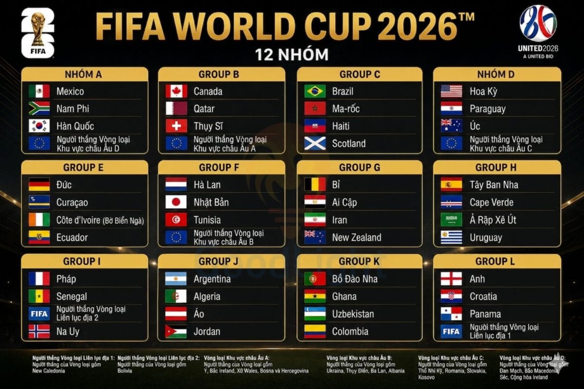 12 Group World Cup
